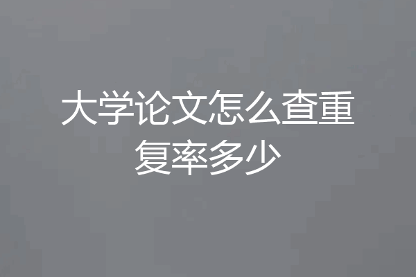 大学论文怎么查重复率多少