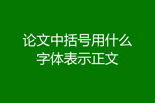 论文中括号用什么字体表示正文