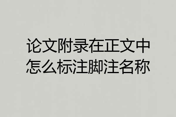 论文附录在正文中怎么标注脚注名称