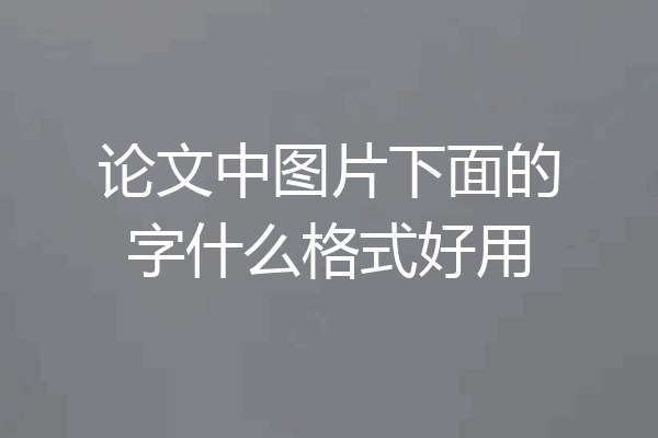论文中图片下面的字什么格式好用