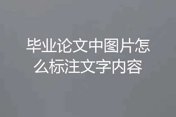 毕业论文中图片怎么标注文字内容