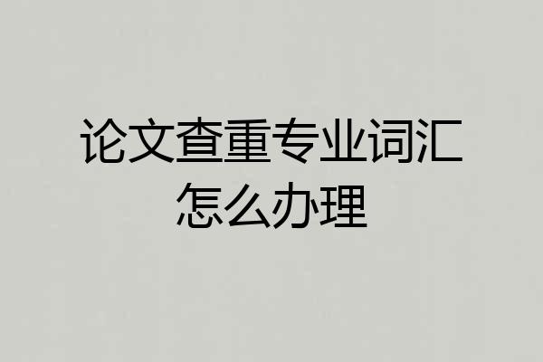 论文查重专业词汇怎么办理