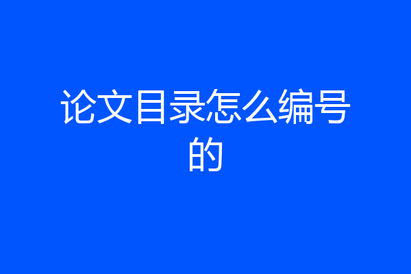 论文目录怎么编号的