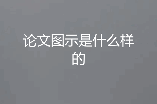 论文图示是什么样的