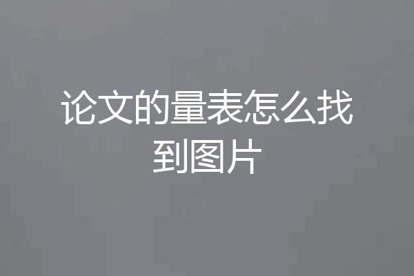 论文的量表怎么找到图片
