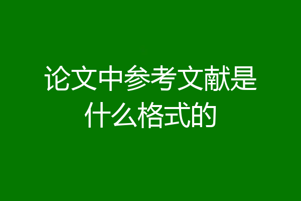 论文中参考文献是什么格式的