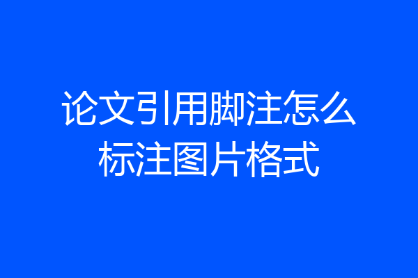 论文引用脚注怎么标注图片格式