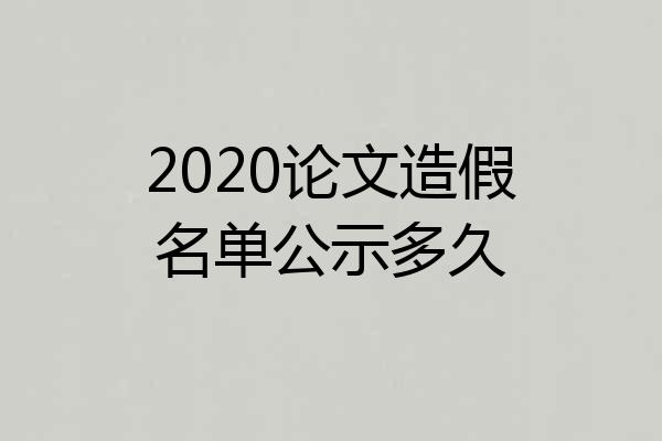 2020论文造假名单公示多久