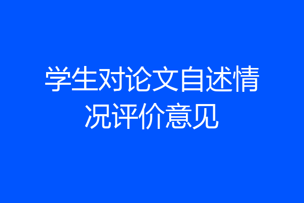 学生对论文自述情况评价意见