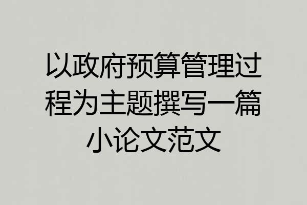 以政府预算管理过程为主题撰写一篇小论文范文