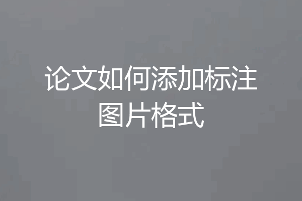 论文如何添加标注图片格式