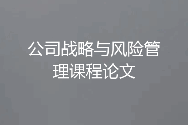 公司战略与风险管理课程论文