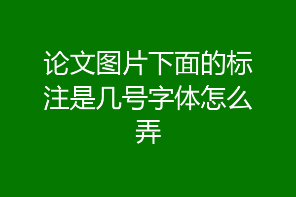 论文图片下面的标注是几号字体怎么弄