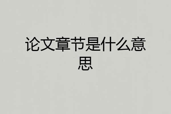 论文章节是什么意思
