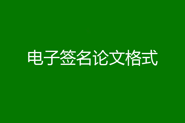 电子签名论文格式