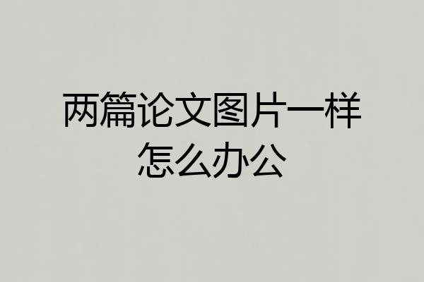 两篇论文图片一样怎么办公