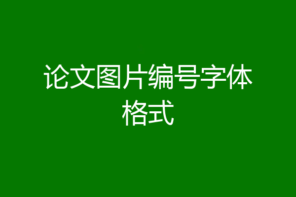 论文图片编号字体格式