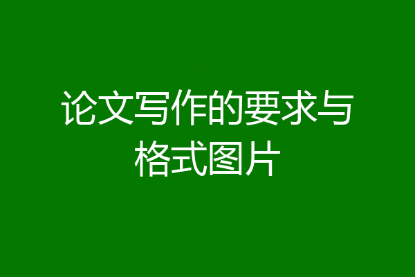 论文写作的要求与格式图片