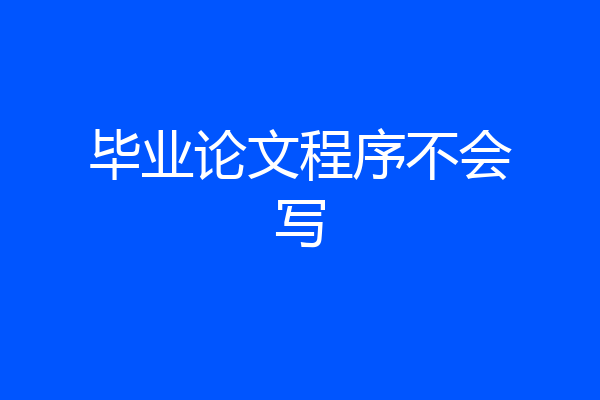 毕业论文程序不会写