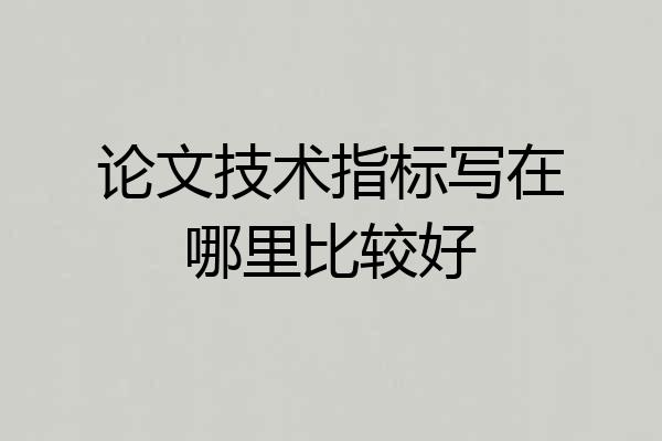 论文技术指标写在哪里比较好