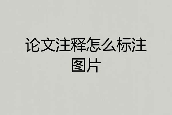 论文注释怎么标注图片
