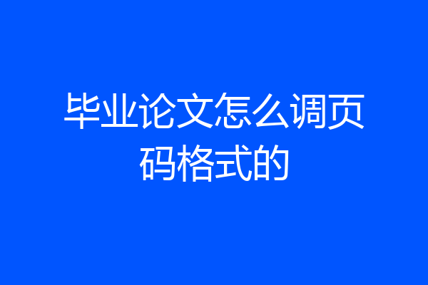 毕业论文怎么调页码格式的