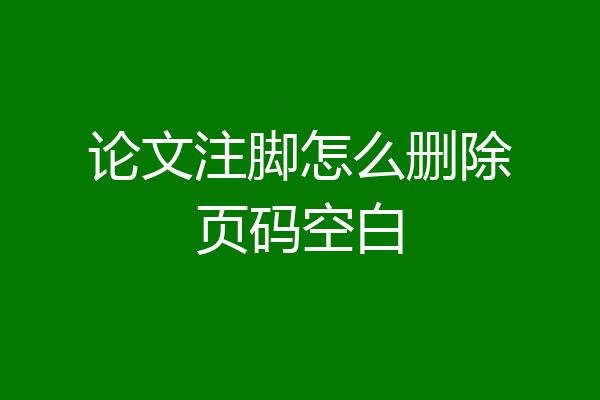 论文注脚怎么删除页码空白