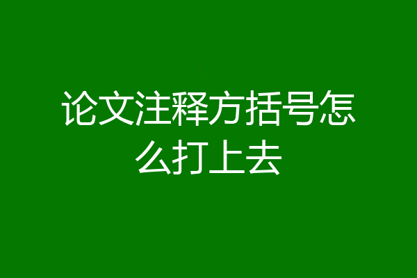 论文注释方括号怎么打上去