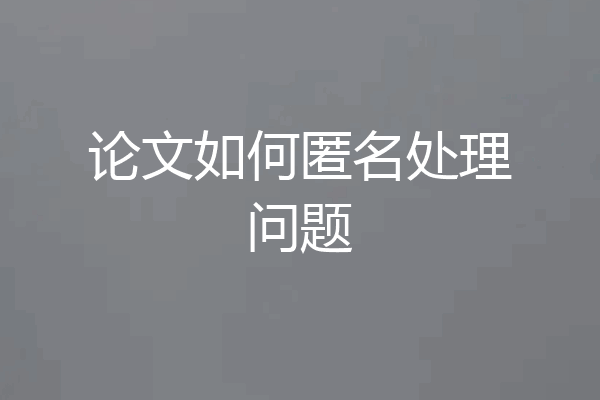 论文如何匿名处理问题