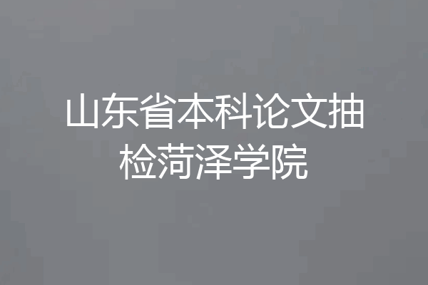 山东省本科论文抽检菏泽学院