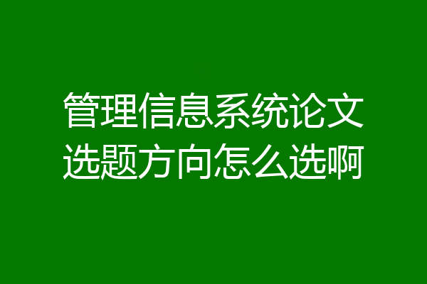 管理信息系统论文选题方向怎么选啊