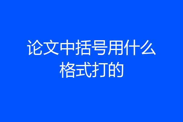 论文中括号用什么格式打的
