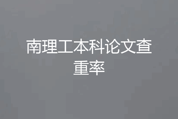 南理工本科论文查重率