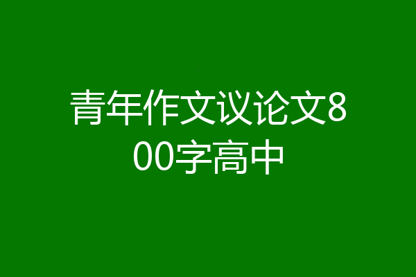 青年作文议论文800字高中