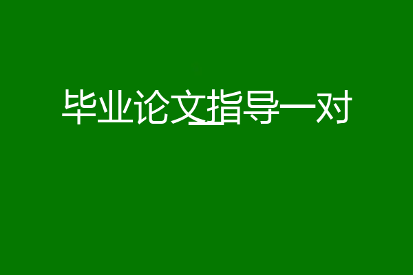 毕业论文指导一对一