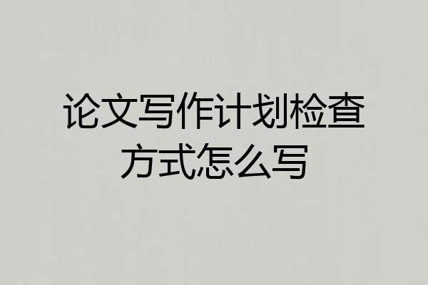 论文写作计划检查方式怎么写