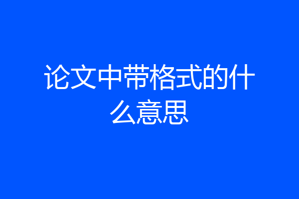 论文中带格式的什么意思