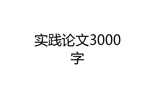实践论文3000字