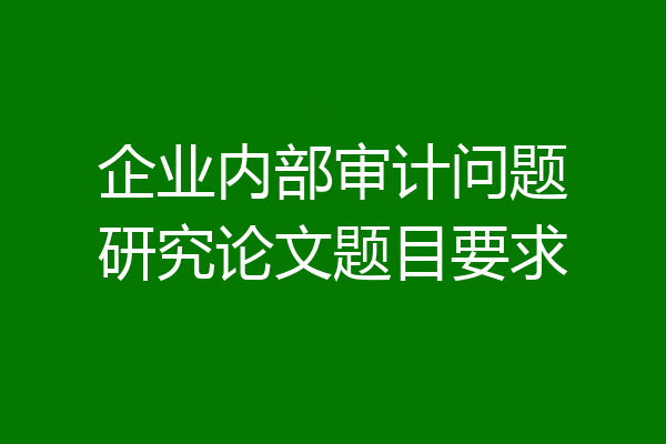 企业内部审计问题研究论文题目要求