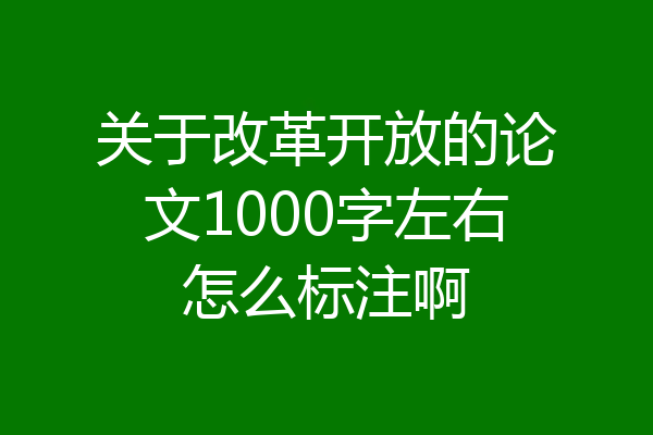 关于改革开放的论文1000字左右怎么标注啊