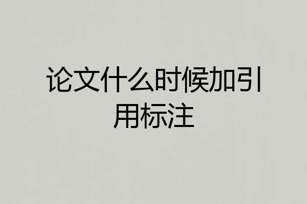 论文什么时候加引用标注