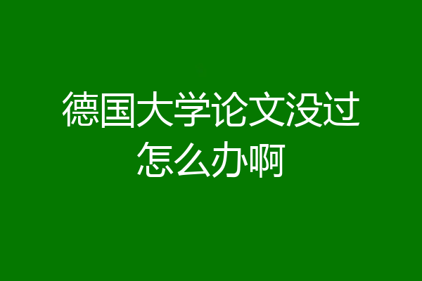 德国大学论文没过怎么办啊