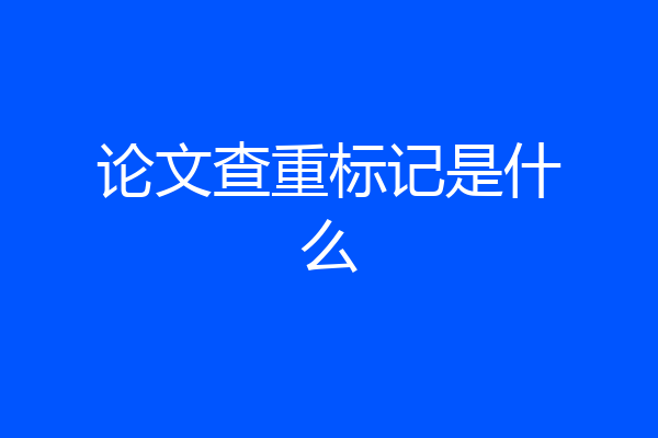 论文查重标记是什么