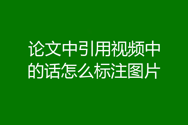 论文中引用视频中的话怎么标注图片
