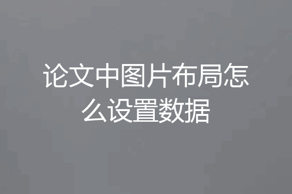 论文中图片布局怎么设置数据