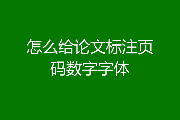怎么给论文标注页码数字字体