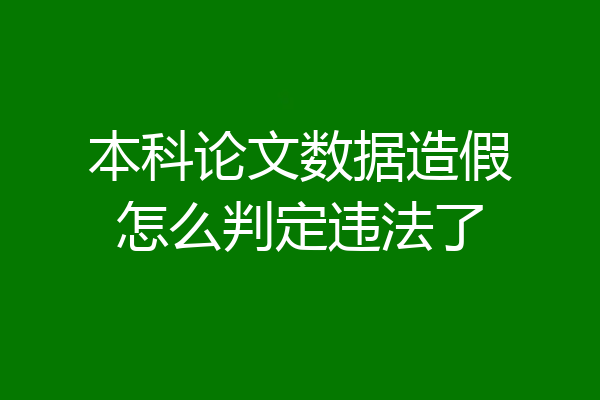 本科论文数据造假怎么判定违法了