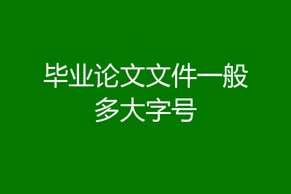 毕业论文文件一般多大字号
