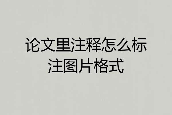 论文里注释怎么标注图片格式