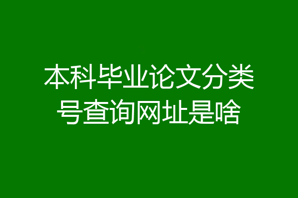 本科毕业论文分类号查询网址是啥